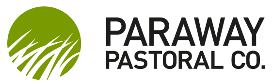 Paraway Web Site