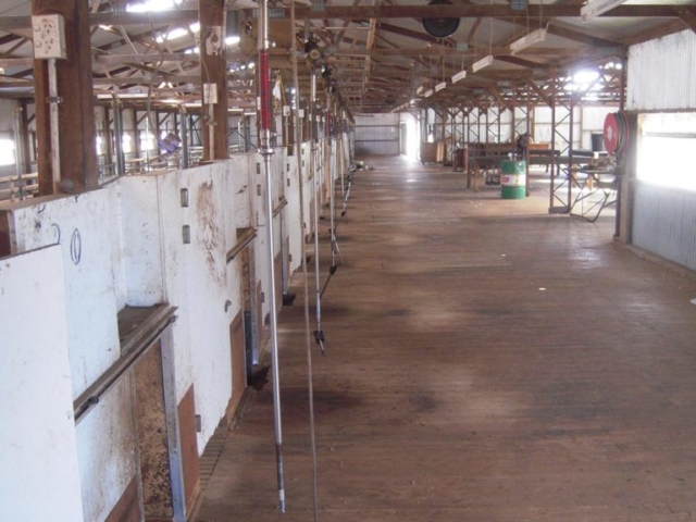 Cooinbil shearing shed