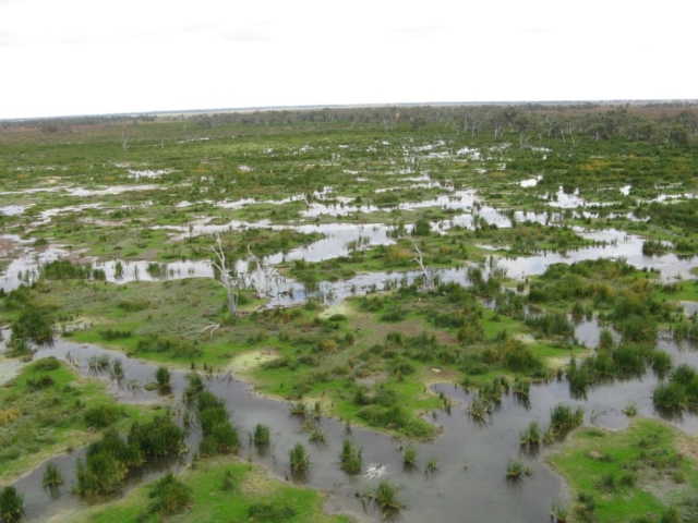 Oxley Macquarie Marshes